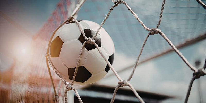 Biểu đồ mô phỏng biến động theo chu kỳ